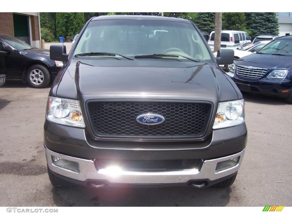 2005 F150 XLT SuperCrew 4x4 - Dark Shadow Grey Metallic / Tan photo #3