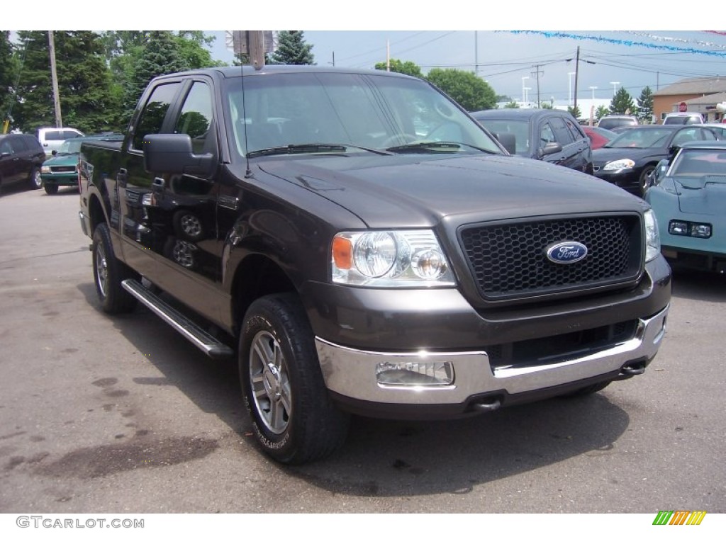 2005 F150 XLT SuperCrew 4x4 - Dark Shadow Grey Metallic / Tan photo #28