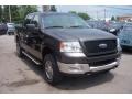 2005 Dark Shadow Grey Metallic Ford F150 XLT SuperCrew 4x4  photo #28