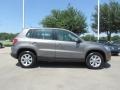 2009 Alpine Grey Metallic Volkswagen Tiguan SE  photo #6