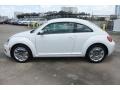 Candy White - Beetle 2.5L Photo No. 5