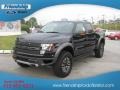 Tuxedo Black Metallic - F150 SVT Raptor SuperCrew 4x4 Photo No. 2