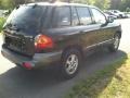 2003 Black Obsidian Hyundai Santa Fe GLS  photo #6