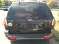 2003 Black Obsidian Hyundai Santa Fe GLS  photo #7