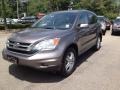 2010 Urban Titanium Metallic Honda CR-V EX-L AWD  photo #6