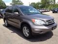 2010 Urban Titanium Metallic Honda CR-V EX-L AWD  photo #8