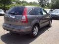 2010 Urban Titanium Metallic Honda CR-V EX-L AWD  photo #10