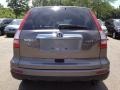 2010 Urban Titanium Metallic Honda CR-V EX-L AWD  photo #11
