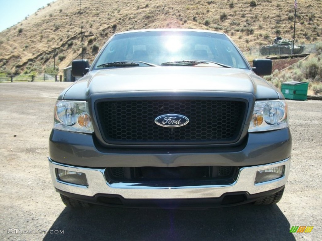 2004 F150 XLT Regular Cab - Dark Shadow Grey Metallic / Medium/Dark Flint photo #6