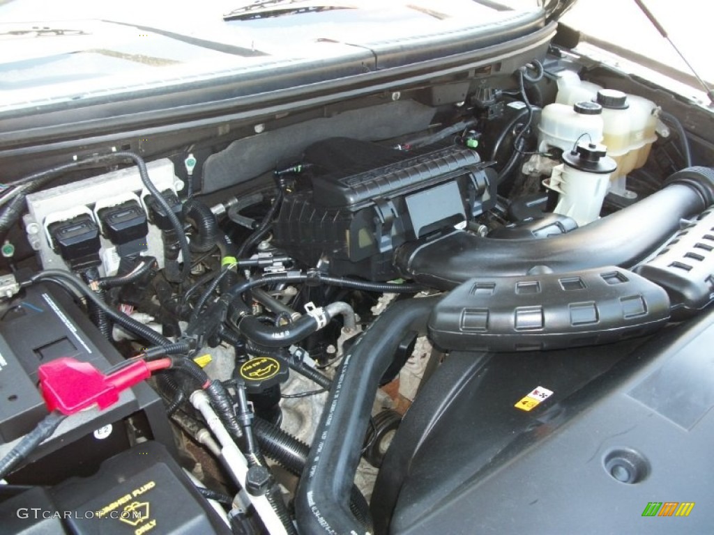 2004 Ford F150 XLT Regular Cab 5.4 Liter SOHC 24V Triton V8 Engine Photo #67613727