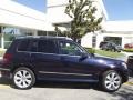 2010 Capri Blue Metallic Mercedes-Benz GLK 350  photo #3