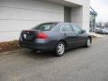 2006 Graphite Pearl Honda Accord SE Sedan  photo #7