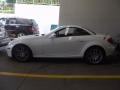 Arctic White - SLK 300 Roadster Photo No. 2