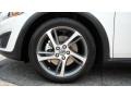 2013 Volvo C30 T5 Wheel and Tire Photo