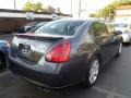 2007 Precision Gray Metallic Nissan Maxima 3.5 SE  photo #5