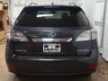 2010 Smokey Granite Mica Lexus RX 350 AWD  photo #4