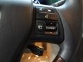2010 Smokey Granite Mica Lexus RX 350 AWD  photo #22