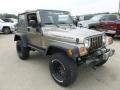 Light Khaki Metallic - Wrangler SE 4x4 Photo No. 7