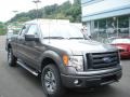 2012 Sterling Gray Metallic Ford F150 XLT SuperCab 4x4  photo #2
