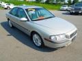 Moondust Metallic - S80 2.9 Photo No. 2