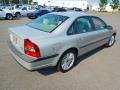 Moondust Metallic - S80 2.9 Photo No. 6
