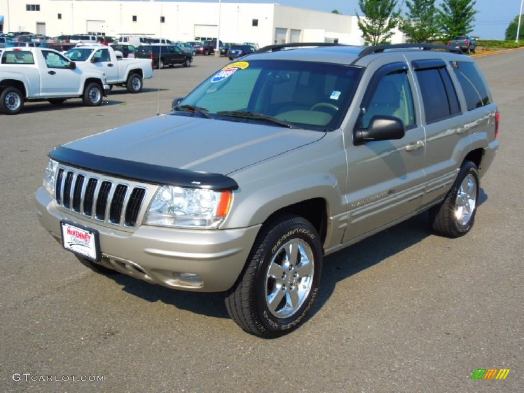 2003 Grand Cherokee Limited - Light Pewter Metallic / Taupe photo #1