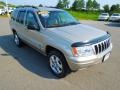 Light Pewter Metallic - Grand Cherokee Limited Photo No. 2