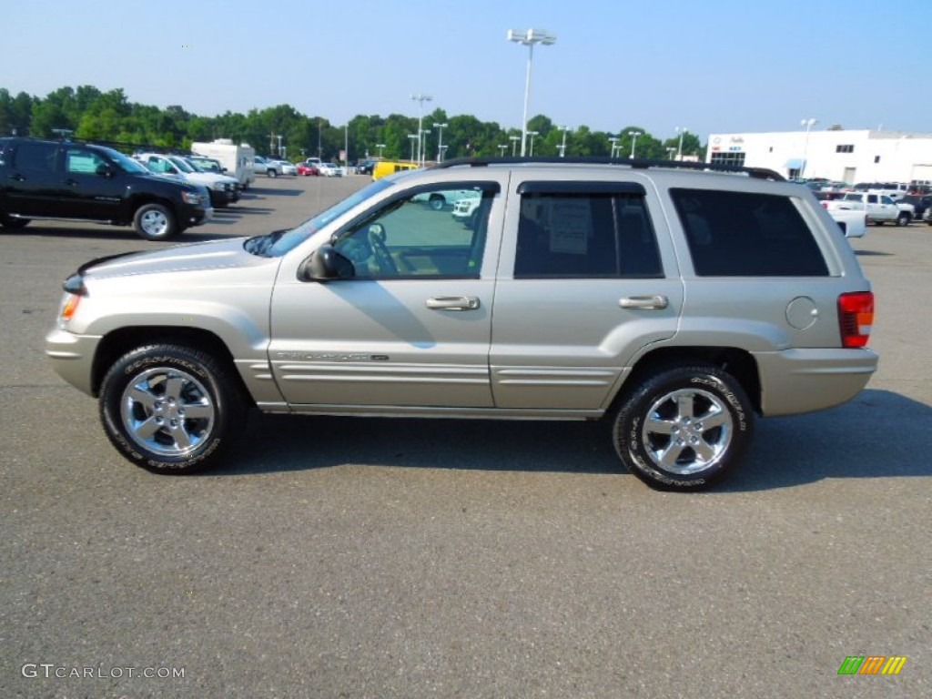 Light Pewter Metallic 2003 Jeep Grand Cherokee Limited Exterior Photo #67634017