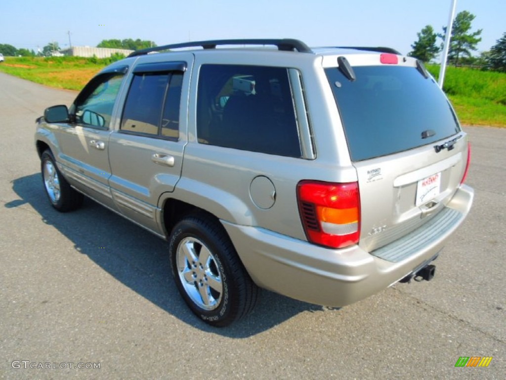 2003 Grand Cherokee Limited - Light Pewter Metallic / Taupe photo #5