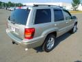 2003 Light Pewter Metallic Jeep Grand Cherokee Limited  photo #6