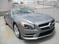 Paladium Silver Metallic - SL 550 Roadster Photo No. 1