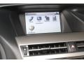 2010 Tungsten Silver Pearl Lexus RX 450h AWD Hybrid  photo #20