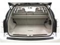 2010 Tungsten Silver Pearl Lexus RX 450h AWD Hybrid  photo #40