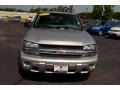 Silverstone Metallic - TrailBlazer LS 4x4 Photo No. 2