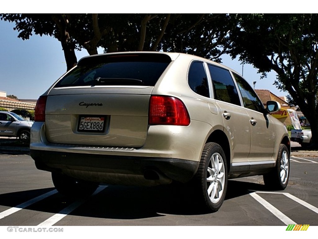 2004 Cayenne Tiptronic - Prosecco Metallic / Havanna/Sand Beige photo #6