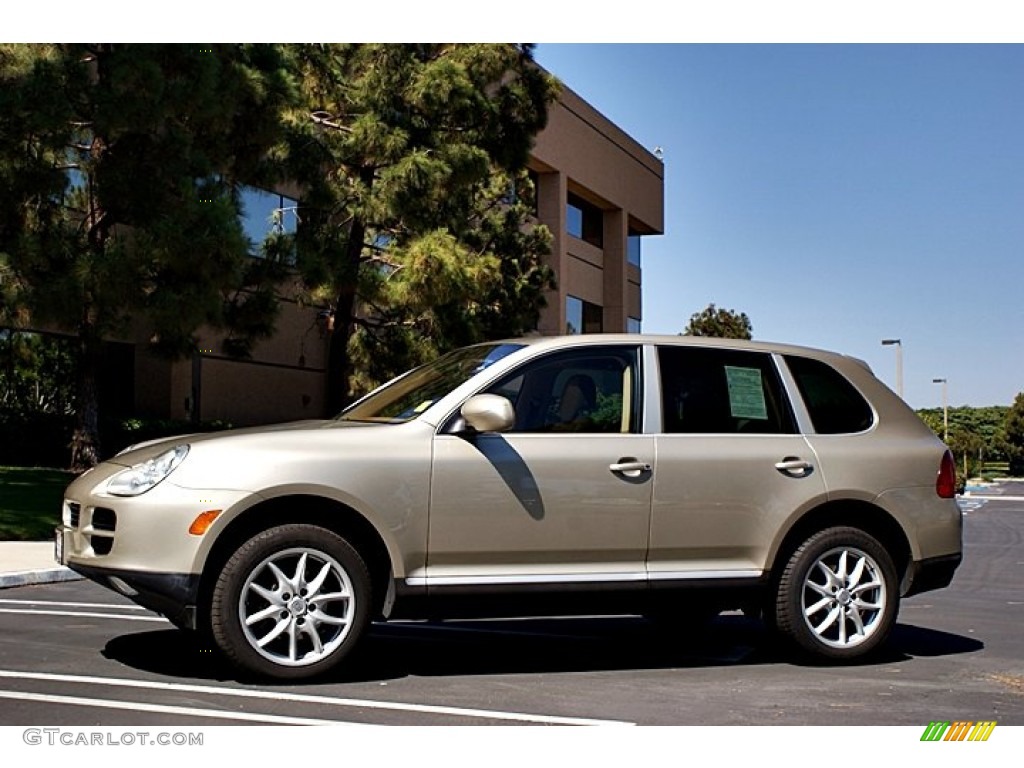 2004 Cayenne Tiptronic - Prosecco Metallic / Havanna/Sand Beige photo #10