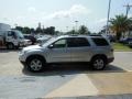 Liquid Silver Metallic - Acadia SLE Photo No. 5