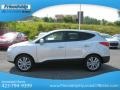 Diamond Silver - Tucson Limited AWD Photo No. 2