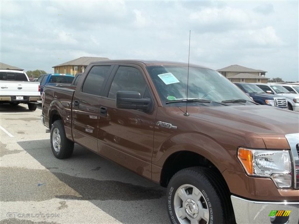 2012 F150 XLT SuperCrew - Golden Bronze Metallic / Pale Adobe photo #1