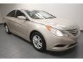 Camel Pearl - Sonata GLS Photo No. 1
