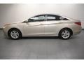 Camel Pearl - Sonata GLS Photo No. 2
