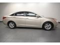 Camel Pearl - Sonata GLS Photo No. 7
