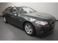 Tasman Green Metallic 2012 BMW 5 Series 528i Sedan Exterior
