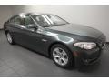 Tasman Green Metallic 2012 BMW 5 Series 528i Sedan Exterior