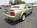 2006 Legend Lime Metallic Ford Mustang V6 Deluxe Convertible  photo #5