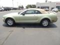 2006 Legend Lime Metallic Ford Mustang V6 Deluxe Convertible  photo #8