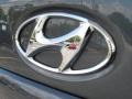 Carbon Gray - Elantra GLS Sedan Photo No. 18