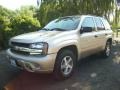 2006 Sandstone Metallic Chevrolet TrailBlazer LS 4x4  photo #5