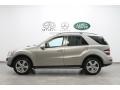 Pewter Metallic - ML 350 4Matic Photo No. 2