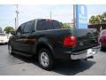 2002 Dark Highland Green Metallic Ford F150 XLT SuperCrew  photo #6